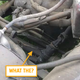 Image for article titled Someone Used Rebar To Mount A Buick Engine Transversely Into The Rear Of This Jeep And It's All Just Nuts
